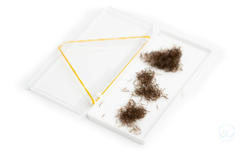 Loose Promade Dark Brown Coloured Fans up to 1000 fans