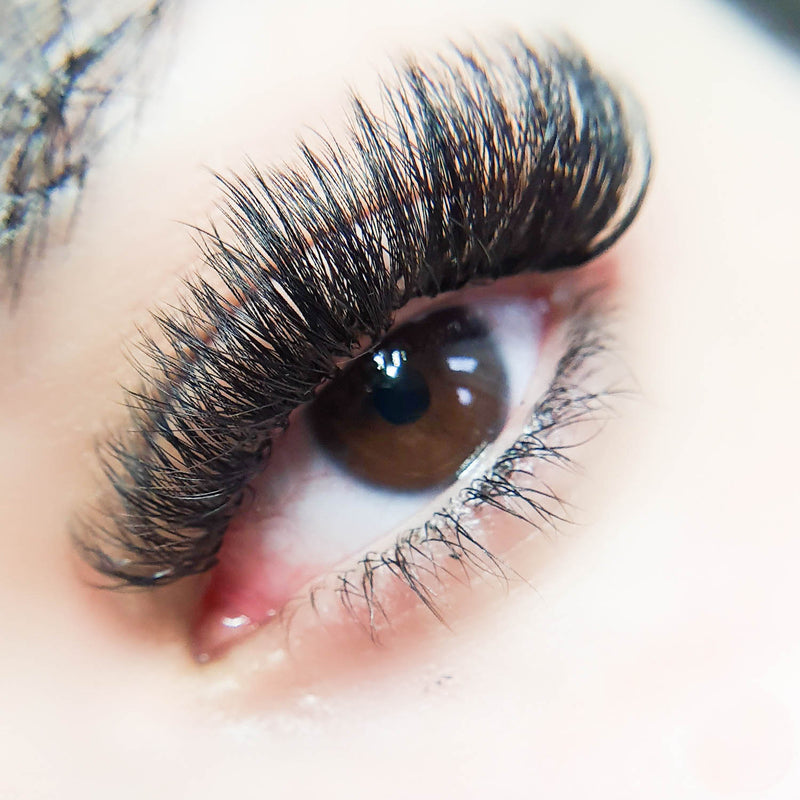 Handmade Volume Lash Mastery -Online Course With Kit And Certificate