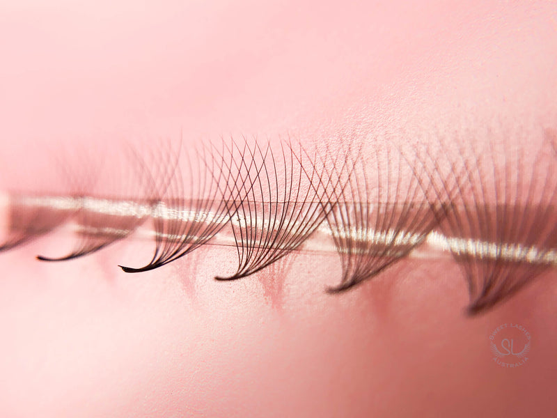 Super sharp and pointy base - 100% handcrafted by proficient lash artists - Eco-friendly trays - Materials: the highest quality Korean PBT fiber - 100% handmade so they are not identical - The fans are soft, black, and fluffy which will help you to create beautiful Volume sets easily in the same time as a Classic set. - Curls: C & D - Mixed Lengths: 9-16mm - Dimensions: 16D (0.03mm)