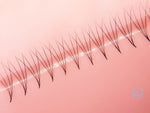 Super sharp and pointy base - 100% handcrafted by proficient lash artists - Eco-friendly trays - Materials: the highest quality Korean PBT fiber - 100% handmade so they are not identical - The fans are soft, black, and fluffy which will help you to create beautiful Volume sets easily in the same time as a Classic set. - Curls: C & D - Mixed Lengths: 8-15mm - Dimensions: 4D (0.07mm)