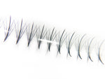 5D Promade Spikes/Wispy Fan Rapid Set Up D Curl with up to 1000 fans. Our Promade Spikes/Wispy Fan Collection gives you the materials you need to create stunning Wispy Volume sets. The fans come in size of 5D with a spike in the middle to help you design the hot Kim-K/ Wispy Volume sets effortlessly. Materials: the highest quality Korean PBT fiber - Super sharp and pointy base - 100% handcrafted by proficient lash artists