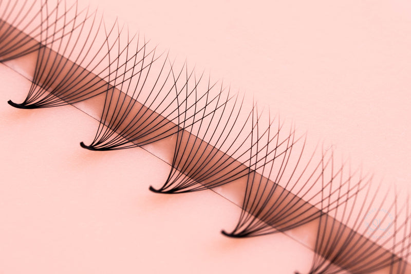 14D Promade Rapid Setup 1000 Fans