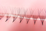 Super sharp and pointy base  - 100% handcrafted by proficient lash artists  - Eco-friendly trays  - Materials: the highest quality Korean PBT fiber  - 100% handmade so they are not identical  - The fans are soft, black, and fluffy which will help you to create beautiful Volume sets easily in the same time as a Classic set.  - Curls: C & D  - Mixed Lengths: 8-15mm  - Dimensions: 8D (0.05mm)