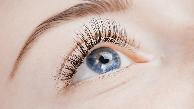 Beginner Lash Course: Classic, Hybrid And Promade Volume -Online Course With Kit And Certificate
